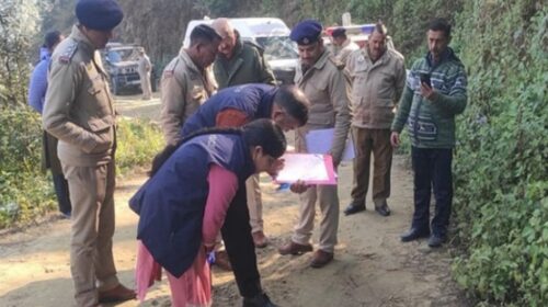देवभूमि शर्मसार: मंडी में सड़क किनारे फेंका नवजात… मासूम के शव को नोचते रहे