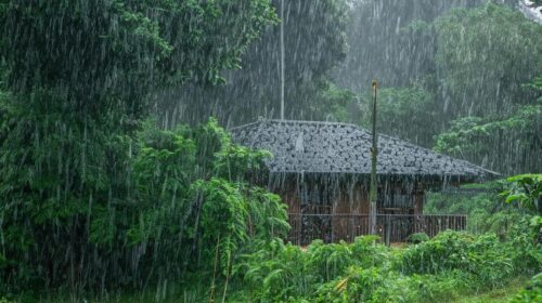 फिर बिगड़ेगा मौसम, 3 दिन तक बारिश व बर्फबारी का यैलो अलर्ट