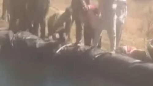 सिरमौर में मातम: सिंचाई टैंक बना काल… तैरता मिला शव, जांच में जुटी पुलिस