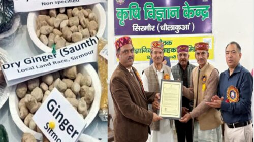 सिरमौर की ”हॉटी सौंठ” पर लगी भारत सरकार की मुहर, राष्ट्रीय स्तर पर मिली कानूनी पहचान