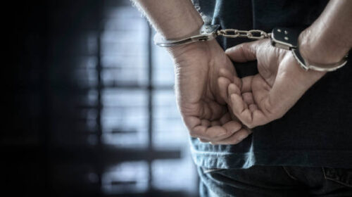 बिलासपुर में खैर तस्करों ने की वन विभाग की टीम को कुचलने की कोशिश, फिर जो हुआ…