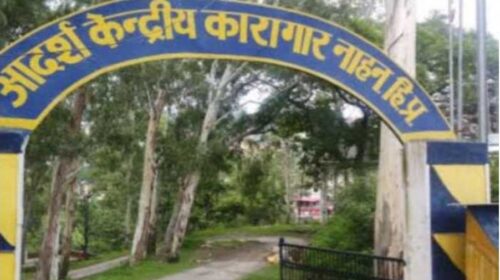 सिरमौर में STF और पुलिस ने नशा तस्करी के ‘बुलबुल’ के पर कतरे, सीधा नाहन जेल भेजा गया