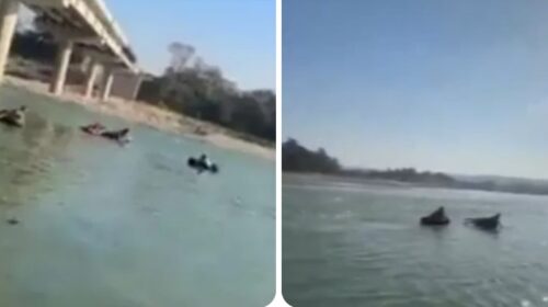 Himachal: व्यास नदी में नहाते समय हुआ बड़ा हादसा, 4 युवक डूबे; 3 को लोगों ने बचाया, एक की तलाश जारी