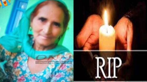 हिमाचल में दर्दनाक हादसा : खेतों में घास जलाते समय आग की चपेट में आई महिला, मौत..
