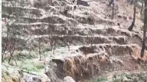 हिमाचल में कुदरत ने तोड़ी किसानों की कमर! बारिश, बर्फबारी और ओलों ने तबाह की फसलें