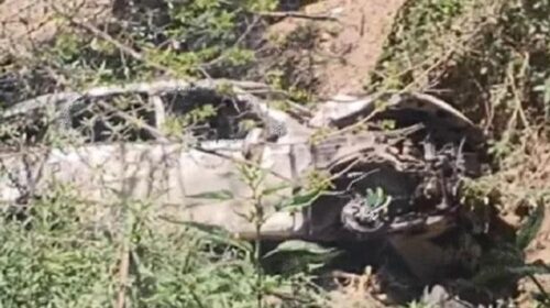 शिमला में दर्दनाक हादसा, 100 मीटर गहरी खाई में गिरी कार, चंडीगढ़ के 2 युवकों की मौत