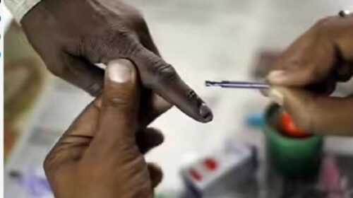 हिमाचल के 51 शहरी निकायों में मतदान जारी, लोगों में भारी उत्साह