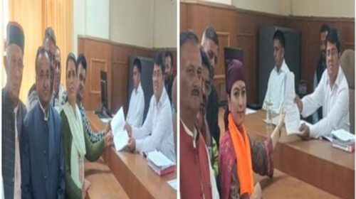 सिरमौर जिला परिषद चुनाव : इस वार्ड में दिलचस्प हुआ मुकाबला, दादी और पोती आमने-सामने