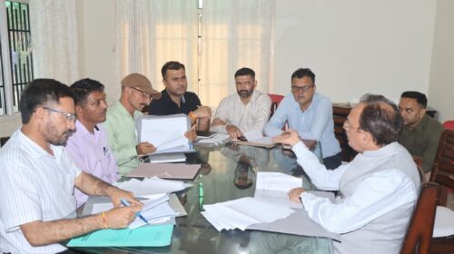 शिलाई विस क्षेत्र के विकास कार्यों को गति देने के लिए उद्योग मंत्री ने की विभागीय समीक्षा