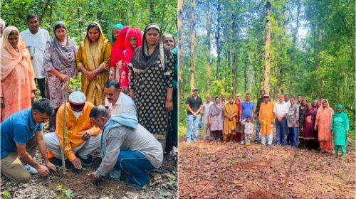 “पेड़ लगाओ, पेड़ बचाओ, इस दुनिया को सुंदर बनाओ” और “वृक्षों की जब करोगे रक्षा, तभी बनेगा जीवन अच्छा