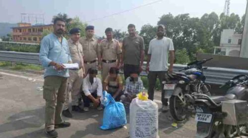 Paonta Sahib: SIU टीम की बड़ी सफलता, 13 किलो से ज्यादा चूरा पोस्त समेत 3 गिरफ्तार!